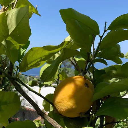 Casa Blu Anacapri (Isola di Capri)