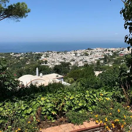 Guest house Casa Blu 3*