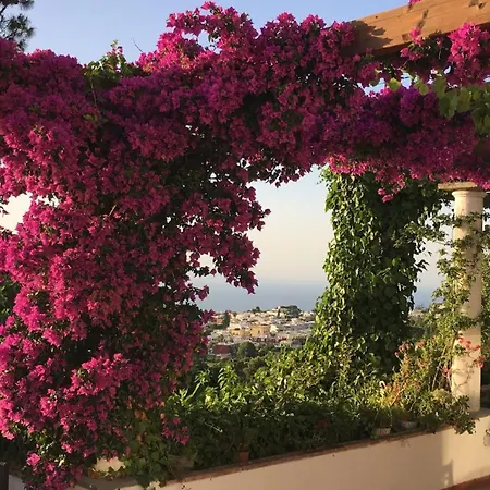 Guest house Casa Blu 3*