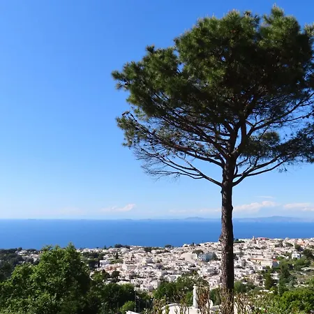 Guest house Casa Blu Anacapri (Isola di Capri)