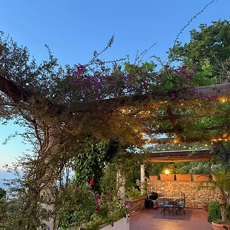 Guest house Casa Blu 3*