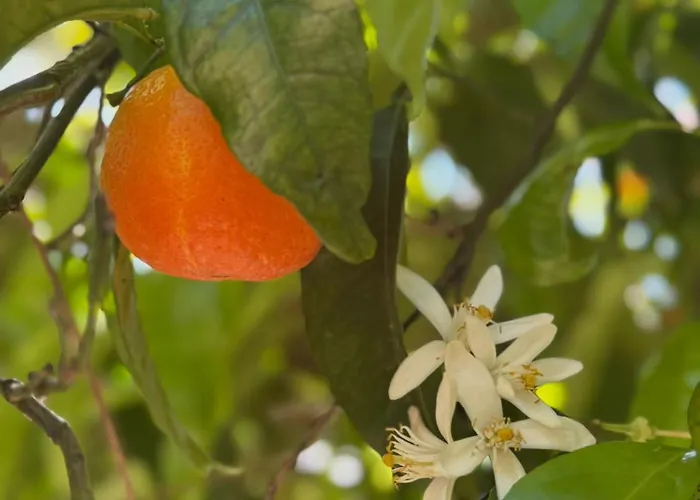 Casa Blu 招待所 3*