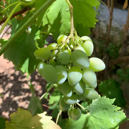 Casa Blu Casa de hóspedes