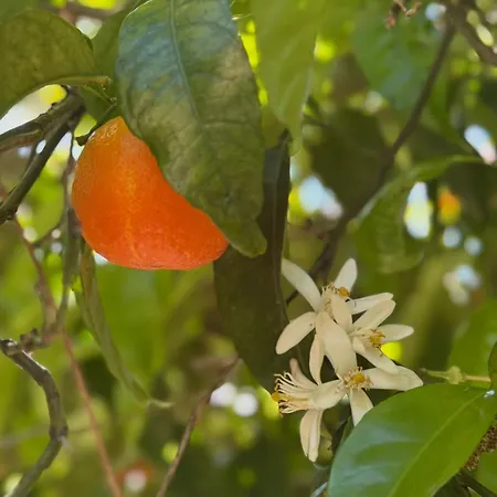 Casa Blu Casa de hóspedes 3*