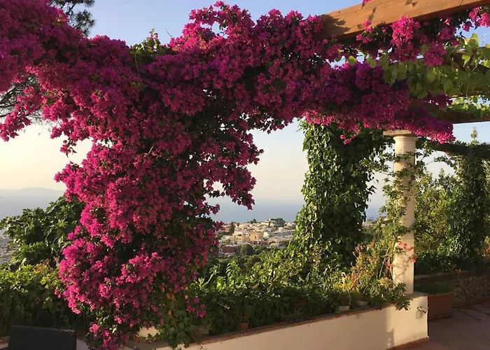 Pensjonat Casa Blu 3*