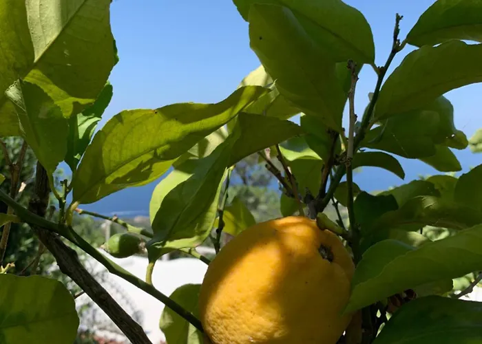 Casa Blu Anacapri (Isola di Capri)