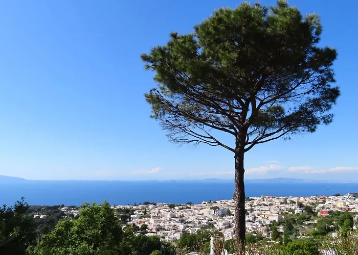 Pensjonat Casa Blu Anacapri (Isola di Capri)